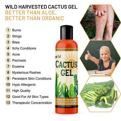 Wild Harvested Cactus Gel - Instant Itch, Rash and Burn Relief -  Wild Cactus Skin Repair Gel